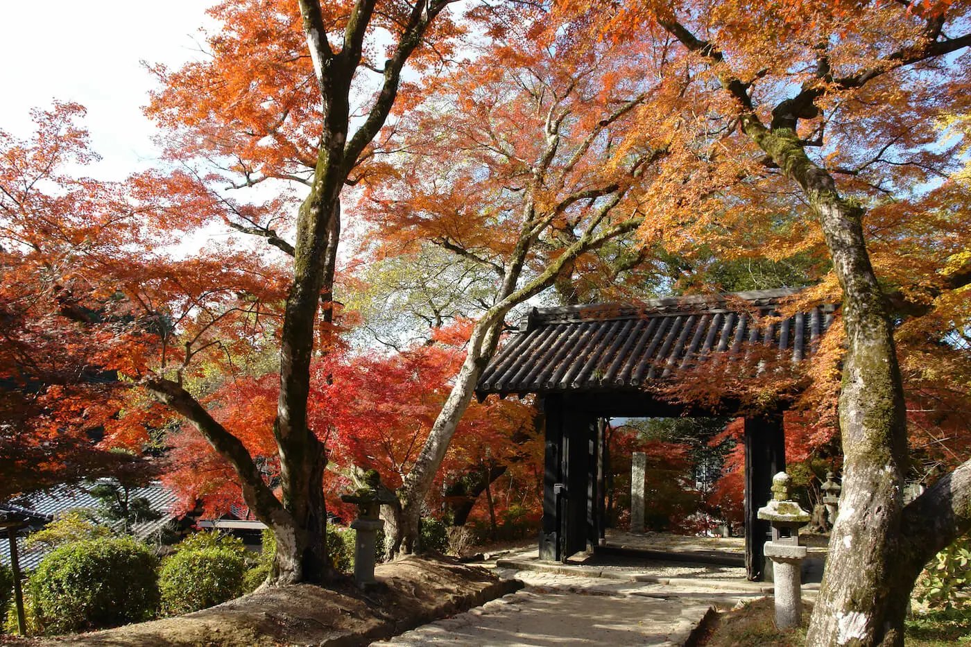 🏯 아키즈키 성터(아키즈키조세키) 이미지 11